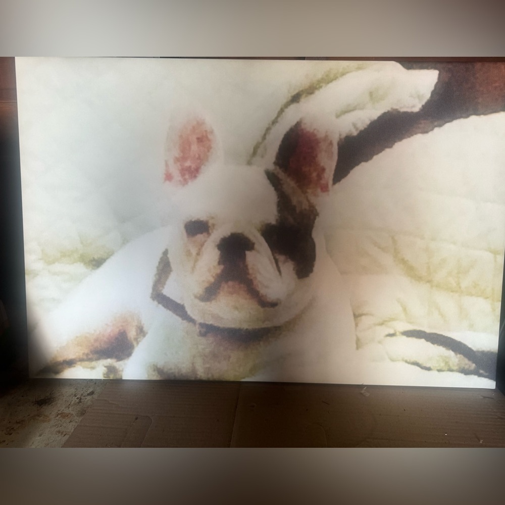 A beautiful modern piece. Well known Asian Dog. Printed on Canvas.
